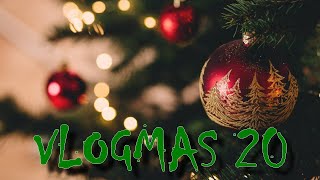 Poslední nákup před Vánoci, vysvětlování vrčení psů Lexovi | VLOGMAS #20