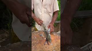 Village Grandpa Fish Cutting Skills #shorts