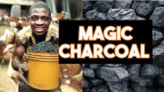 Benefits of charcoal to chicken|chicken farming.