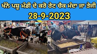 ਖੰਨਾ ਮੰਡੀ 28/9/2023 ਦੇਖੋ ਅੱਜ ਦੇ ਰੇਟ #khanna #mandi #viral #popular #viral