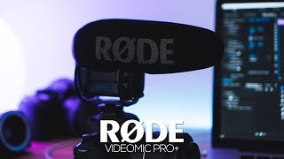 The BEST Shotgun Microphone? RODE VideoMic Pro Plus + Review