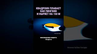 Квадроин–пингвин исследует морскую бездну #shorts