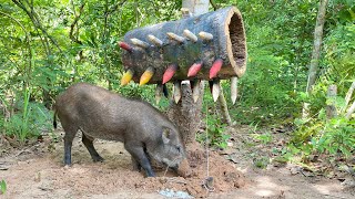 Build Unique Primitive Wild boar Trap Using Wood #wildanimals #shortvideo