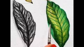 How to Draw a Leaf Easy ,رسم ورقة شجر مع التلوين