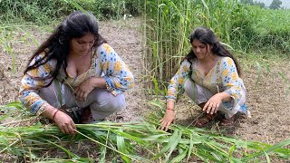 Pakistani Village Woman Daily Routine Work | Beautiful Village Of Pakistan | Culture Of Pak Punjab