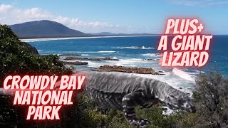 Crowdy Bay National Park - Diamond Head - Mermaid Lookout Walk - And a huge Goanna