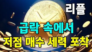 [리플] 중동 전쟁 위기 속에서 고래들은 매집했다!! 대폭등 전조?!