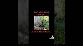 GoPro MAX 360 Footage of a Bear Hunt #shorts #blackbearhunting