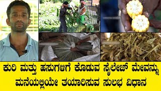 ಸೈಲೇಜ್ ಮನೆಯಲ್ಲೇ ಮಾಡುವ ವಿಧಾನ | SILAGE MAKING VIDEO