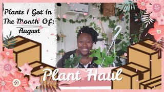 August Plant Haul! Selective Purchases~ #13