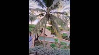 Shangri-La Barr Al Jissah-Luxury 5-Star Resort in Muscat