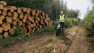 Mosphera - Sustainable Forestry