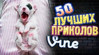 Самые Лучшие Вайны! (ВЫПУСК 163) GrotesqTrailerzNew