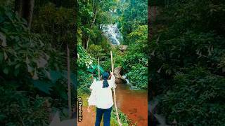 which waterfall is this? this is in the coonoor city near Ooty. #coonoor #ooty #waterfall #laws