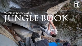 Zach Groenwald sends "Jungle Book" 8A/V11 - Cresciano, Switzerland