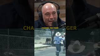 Rogan's Wild Reaction to Cartel Chasing a Loose Tiger