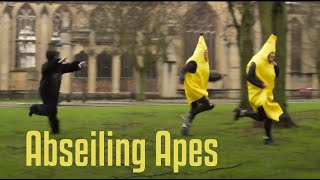 Abseiling Apes: Meet the Volunteers