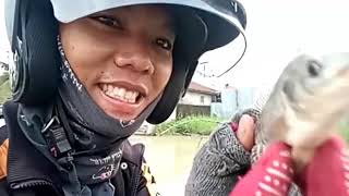 Nangkul PANEN IKAN NILA