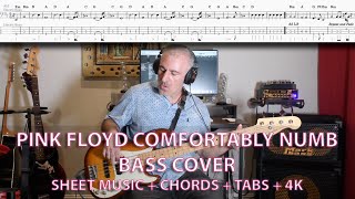 Pink Floyd - Comfortably Numb Bass Cover with Tabs 4K