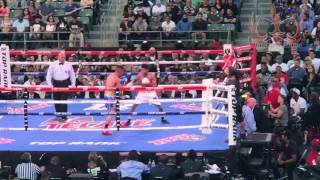 Edgar Brito  Vs   Shakur Stevenson   Hlts fight