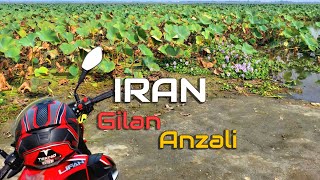 [MotoVlog] POV Riding from Port to Lagoon | Anzali | IRAN