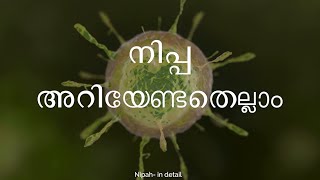 നിപ-അറിയേണ്ടതെല്ലാം|Community Medicine Department | Calicut Medical College