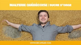 Malterie québécois | Sucre d'Orge :: La Décapsule