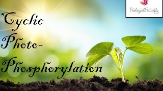 Cyclic photophosphorylation (Easy Cycle)