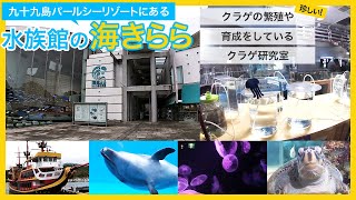 九十九島パールシーリゾートにある水族館の海きらら。繁殖や育成までしているクラゲ研究室を見学したり、間近で見れるイルカショーなど内容の充実した水族館。長崎県佐世保市。その他のアクティビティも多数あります