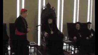 Theological Dialogue Commission.flv