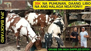 PAG BISITA SA KAMBINGAN NINA BOSS JOVEN AT JERVIN AQUINO NG JPA BACKYARD/GOAT FARMING/BOER GOAT BRED