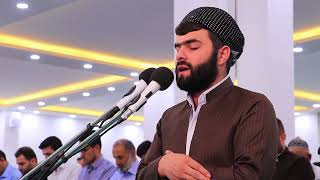 Amazing Emotional Soothing Recitation by Sheikh Peshawa Qadr Al Kurdi