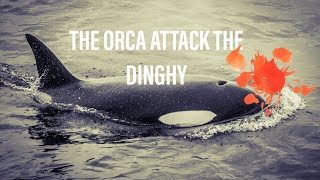 Orca attack the Dinghy at high speed