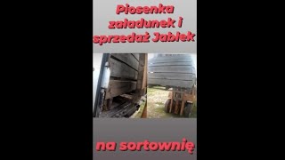 piosenka załadunek i sprzedaż jabłek na sortownię