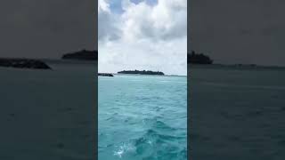 Maldives-ni Chibima