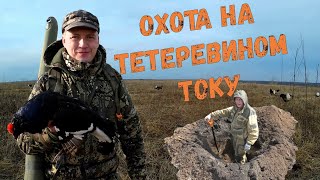 Охота на тетеревов на току / Cкрадок в поле / Копаю окоп /Такой охоты на тетерева у меня ещё не было