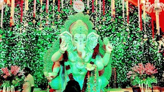 #Trikonbaug ka Raja - #Ganpati Vlog #vlogs #dailyvlogs