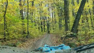 SXS fall color ride 2020 mix video(5)