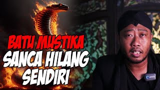 Mustika Sanca 1 Tahun Hilang Tiba Tiba Kembali Lagi