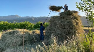 Daily routine village life in iran | village life iran