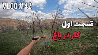 درختارو سمپاشی کردیم Spraying trees