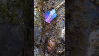 Mining || #short #shortvideo #gemstone #quartz #shorts #stone