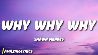 Shawn Mendes - Why Why Why (Lyrics)