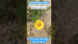 הטיפ היומי כל מה שטוב בשבילך: תלמד להתבונן ולהעריך את כל הטוב שיש בך ובעולמך🙂 אהבתם? שתפו