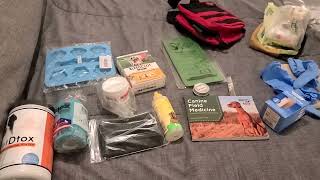 Putting together dog first-aid kit