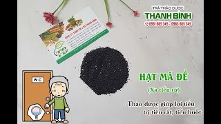 Hạt Mã Đề (Xa Tiền Tử) | Công dụng của hạt mã đề