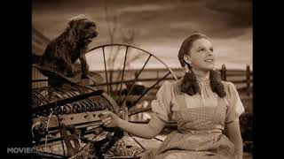 Somewhere Over the Rainbow   The Wizard of Oz 1939