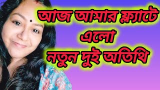 আজ আমার ফ্ল্যাটে এলো নতুন দুই অতিথি।। piyalirdin @apvlogs1412 @CreationofMou