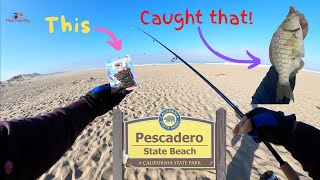 Pescadero State Beach| Surfperch Fishing| Fall 2022