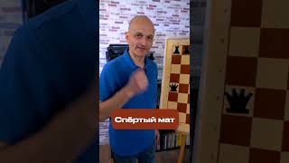 Шахматы  Спёртый мат #shorts